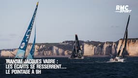 Transat Jacques Vabre : les écarts se resserrent… Le pointage à 9h