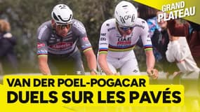 Tour des Flandres, Paris-Roubaix : Pogacar-Van Der Poel, duel du siècle ? 