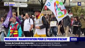 Mulhouse: environ 600 personnes ont manifesté dans les rues pour le pouvoir d'achat