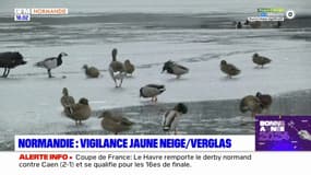 Normandie: les cinq départements placés en vigilance jaune neige et verglas
