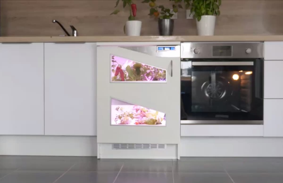 placeholder video
