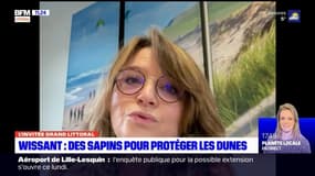 "Tenter de limiter au maximum cette érosion": la maire de Wissant explique pourquoi des sapins vont être déposés sur les dunes