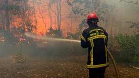Un pompier lutte contre le feu dans la forêt (image d'illustration). 