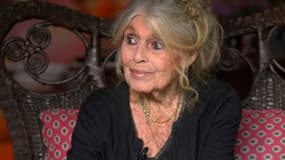 Brigitte Bardot sur BFMTV le 10 mai 2025.