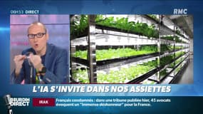"C'est déjà demain": quand l’intelligence artificielle s’invite dans nos assiettes
