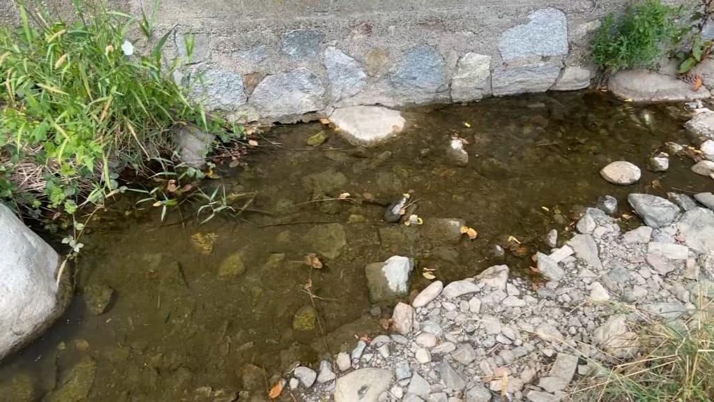 Dans le Bas-Rhin, les rivières sont à sec. Dans le Bas-Rhin, les rivières sont à sec.