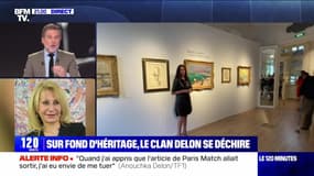 Sur fond d'héritage, le clan Delon se déchire - 07/01 