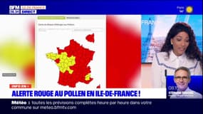 Île-de-France: l'arrivée précoce du printemps place la région en alerte rouge au pollen