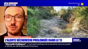 Bouches-du-Rhône: la sécheresse se poursuit dans le département