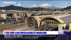 Trafic: 1 TGV sur 3 en circulation ce week-end