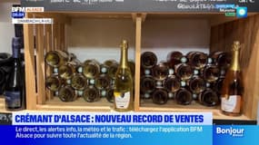 Nouveau record de ventes pour le crémant d'Alsace