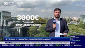 La vie immo: ces annonces immobilières sans DPE