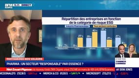 Axel Pierron (Sustainalytics) : Pharma, un secteur "responsable" par essence ? - 02/12