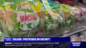 Le magazine "60 millions de consommateurs" alerte sur la présence de pesticides dans de nombreuses salades en sachet