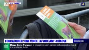 Forcalquier: l'association One Voice, la voix anti-chasse