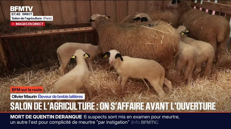 SUR LA ROUTE: À 24 heures de l'ouverture, le salon de l'agriculture se prépare à accueillir ses premiers visiteurs