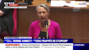 Élisabeth Borne sur l'attaque au couteau à Annecy: "Nous avons tous été frappés de stupeur"