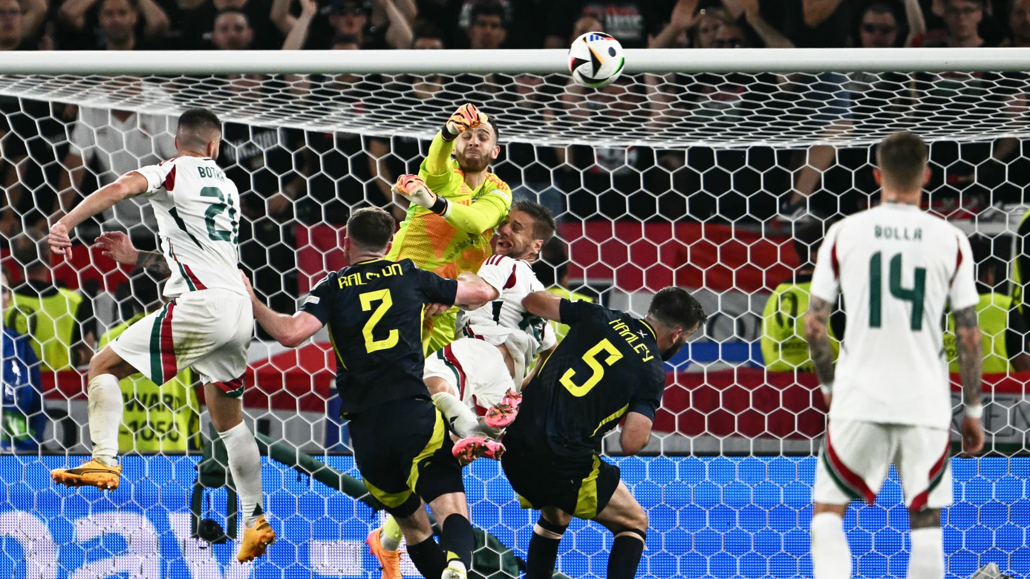 Barnabas Varga victime d'un choc lors d'Ecosse-Hongrie, le 23 juin 2024.