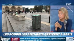 Une poubelle anti-rat sur le parvis de Notre-Dame