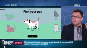 Voici une "playlist" de chansons pour déstresser les chiens et les chats