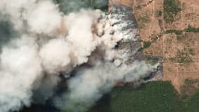Une photo satellite prise au dessus de l'état brésilien du Parà le 20 août 2019.
