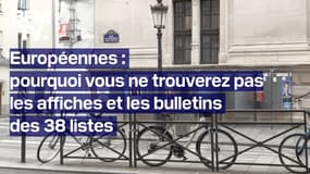 Européennes: pourquoi vous ne trouverez pas les affiches et les bulletins des 38 candidats dans votre bureau de vote 