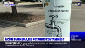A côté d'Arkema, les potagers contaminés?