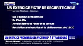 Strasbourg: un exercice de sécurité civile mercredi sur le campus de l'Esplanade