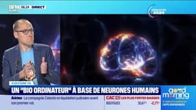 Culture IA : Un "bio ordinateur" à base de neurones humains, par Anthony Morel - 27/06