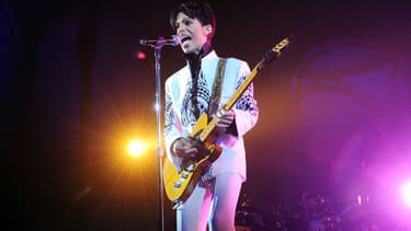 Prince en concert au Grand Palais à Paris en 2009