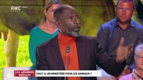 Un ministre de la protection animale ? "Inutile ! Les nouvelles générations sont conscientes du bien-être animal"