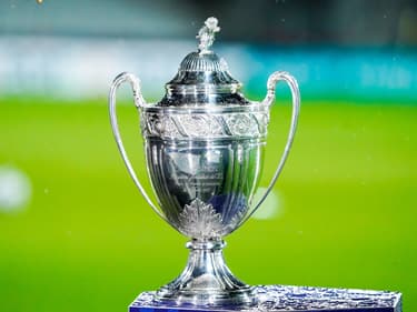 Le trophée de la Coupe de France