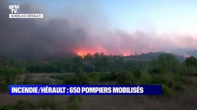 Hérault : le feu progresse "extrêmement vite" - 26/07