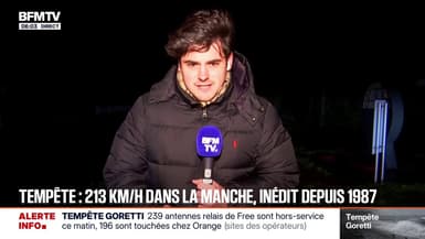 Tempête Goretti: une ligne à haute tension au sol à Ranville (Calvados)
