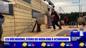 Bas-Rhin: la fête des bûcherons se tient ce week-end à Schirrhein