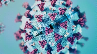 Trois cas de coronavirus ont été détectés à la cité judiciaire de Nancy, de nouveau contrainte à réduire fortement ses activités