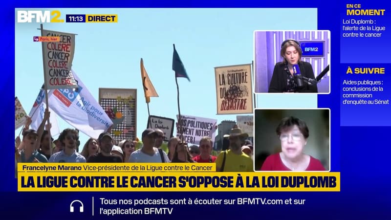 La Ligue contre le cancer s'oppose à la loi Duplomb