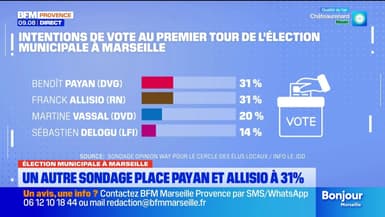 Élection Municipale à Marseille. Un autre sondage place Payan et Allisio à 31%