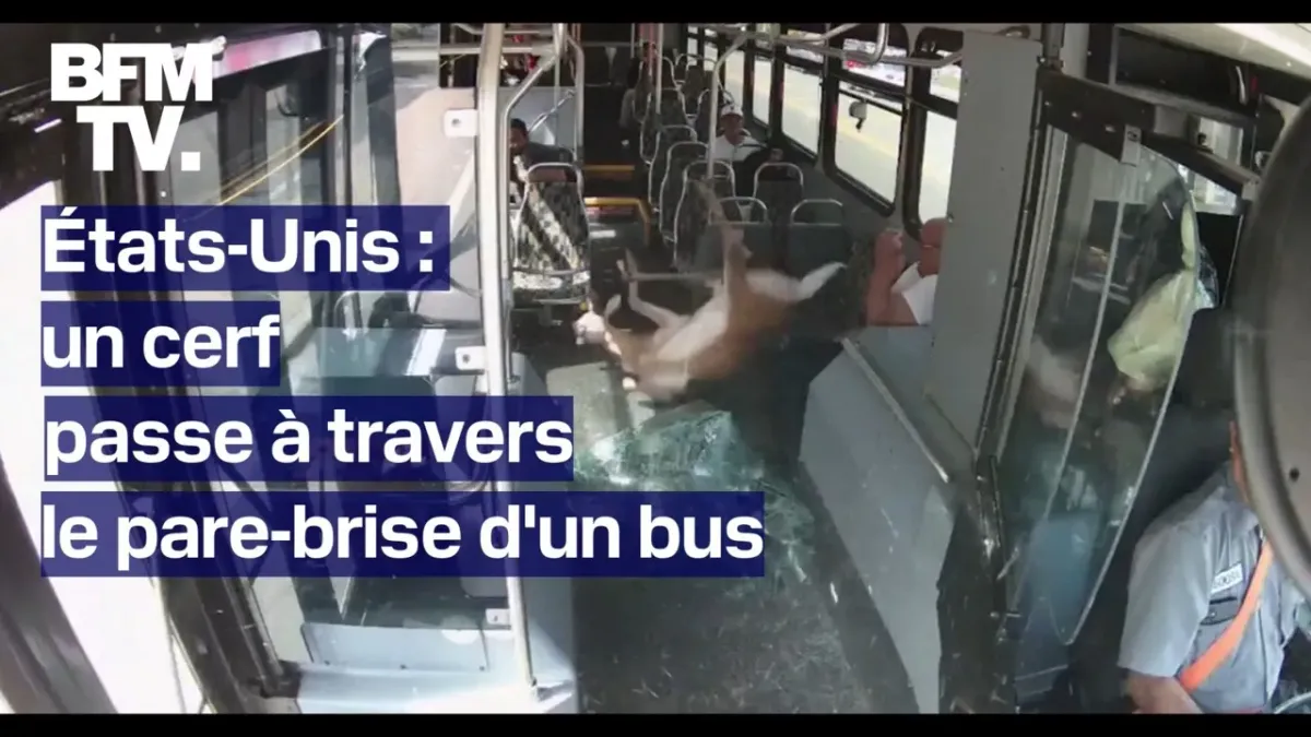 placeholder video