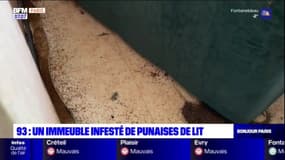 Seine-Saint-Denis: un immeuble infesté de punaises de lit