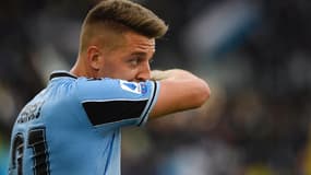 Milinkovic-Savic