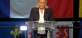 Régionales 2015: pour Marine Le Pen le FN est "le premier parti de France"