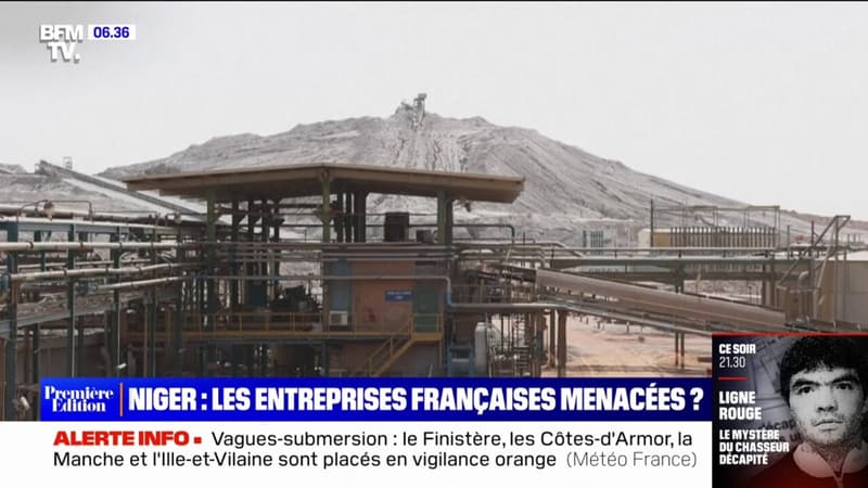 Crise au Niger: les entreprises françaises sont-elles menacées?