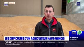 Haut-Rhin: rencontre avec un agriculteur en difficulté