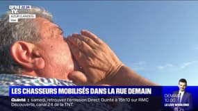 Les chasseurs vont manifester contre une décision du Conseil d'État jugeant illégales des chasses traditionnelles d'oiseaux