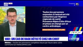 Var: un cas de rage détecté chez un chiot "illégalement importé du Maroc"