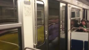 La vidéo aurait été filmée par un anonyme sur la ligne 10 le 31 mars 2015