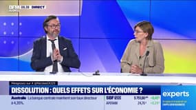 Les Experts : Dissolution, quels effets sur l'économie ? - 18/06