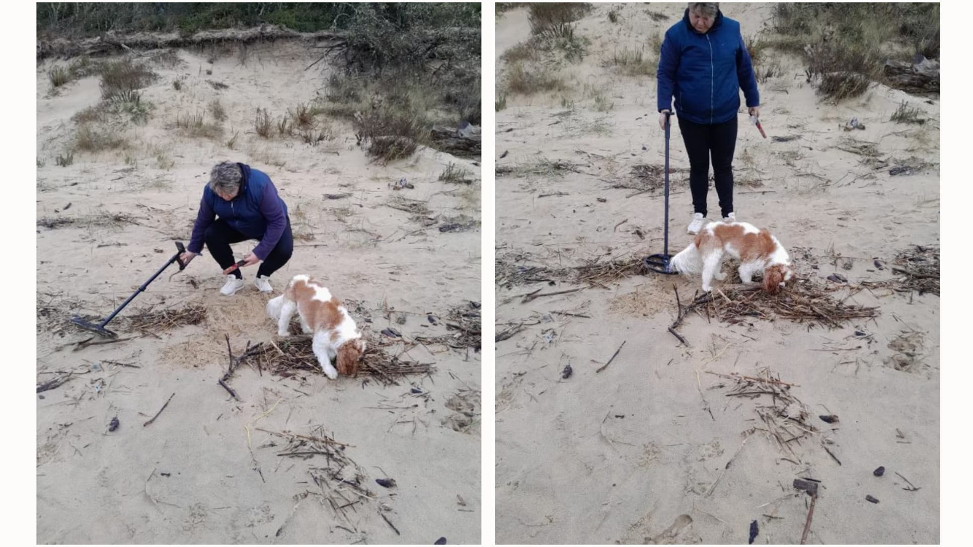 Elisa Parmentier, 44 ans, en train de sillonner une plage à la recherche de métaux en tout genre avec son chien. Elisa Parmentier, 44 ans, en train de sillonner une plage à la recherche de métaux en tout genre avec son chien.