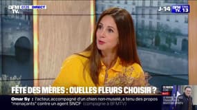 Fête des mères: quelles fleurs choisir selon son budget et comment les faire durer ? 